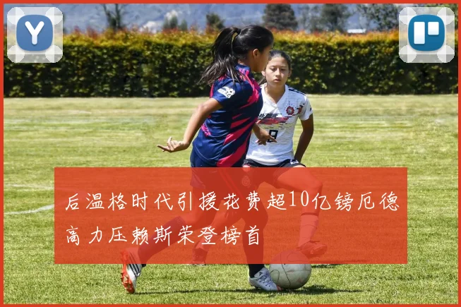 后温格时代引援花费超10亿镑厄德高力压赖斯荣登榜首