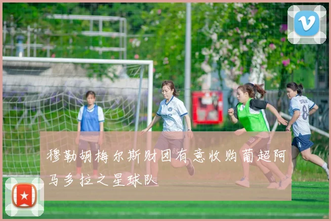 穆勒胡梅尔斯财团有意收购葡超阿马多拉之星球队