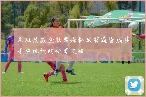 文班扬威全联盟森林狼雷霆皆成其手中玩物的传奇之路